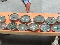 lots-of-stepping-stones_jpg