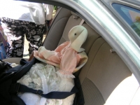 03-rabbit-arrives-for-the-party