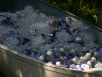 40-let-the-celebrations-begin