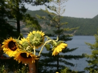 55-the-view-from-the-peter-pan