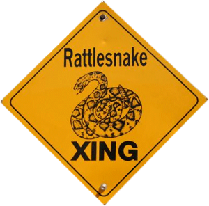 Rattlesnakes