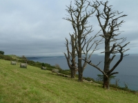 Devon - September 2012