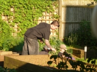 088p1010325_1200x900