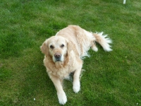 108p1010345_1200x900