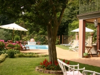 The garden and pool