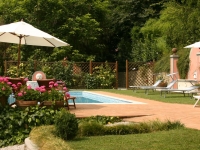 The garden and pool