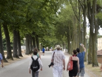 Walking the walls in Lucca