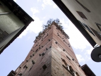 Lucca