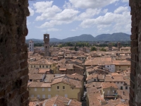 Lucca