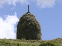 Hayrick in Montefegatesi