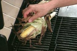 Roasted Corn