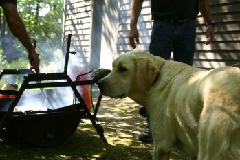 Rowdy at the BBQ