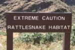 Snake Warning