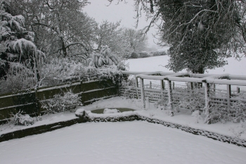 The back garden