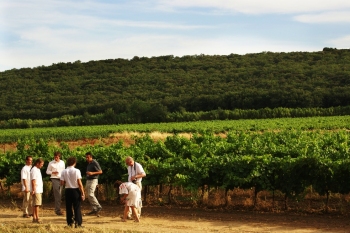 Playing Boules