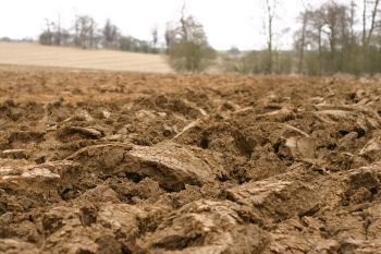 Freshly tilled soil