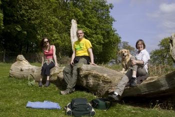 The picnic