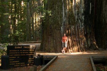 Penny at the Giant Tree