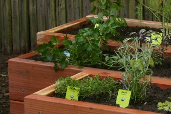 Herb Garden