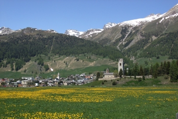 Celerina
