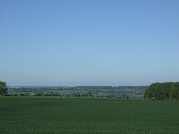 Bike Ride