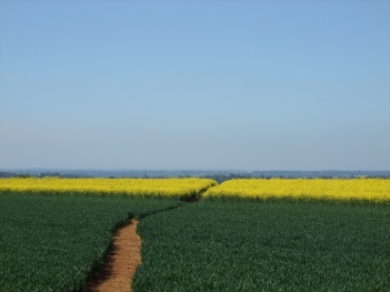 Bike Ride