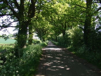 Bike Ride