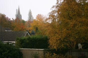 Autumn Colour