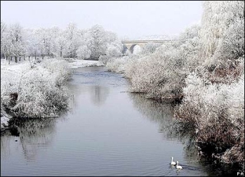 A frosty morning