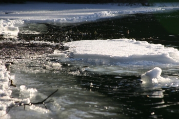 Ice on the Lake